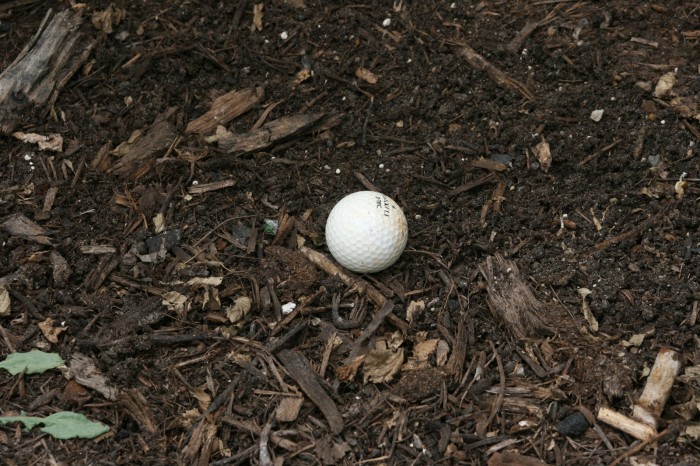 Golf Ball