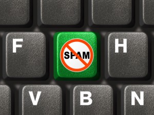 no spam