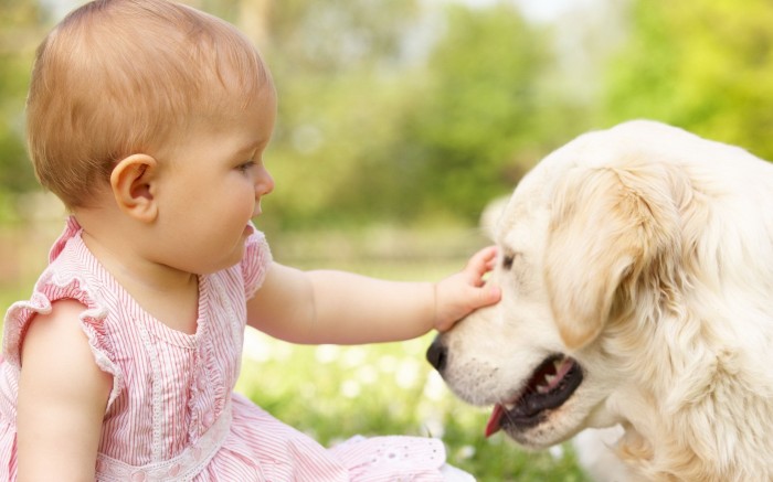 Baby and Dog