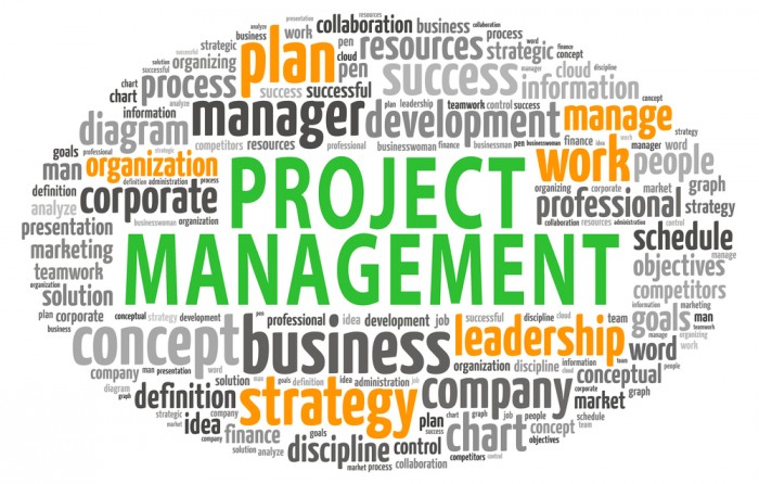 Project management