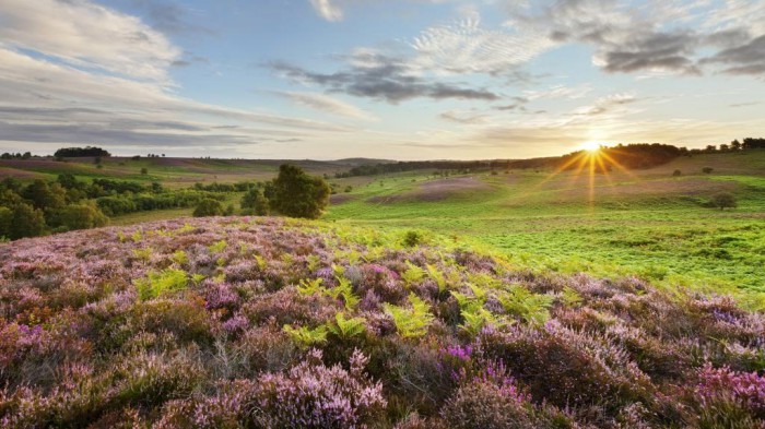 british countryside