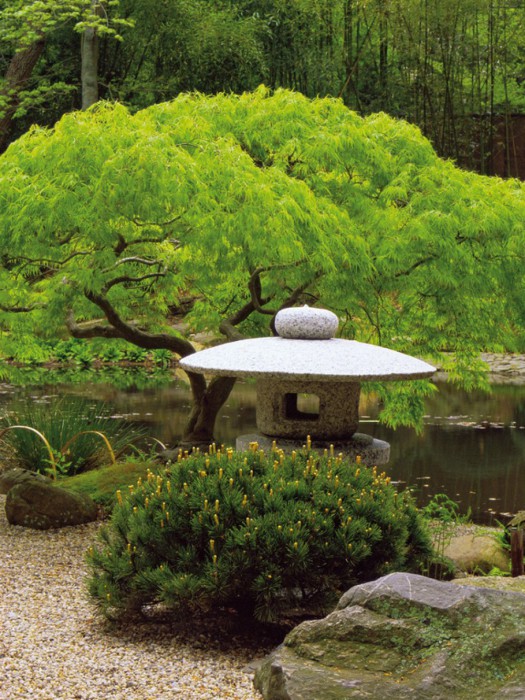 Japanese Landscaping