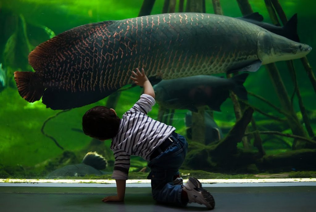 CosmoCaixa Barcelona